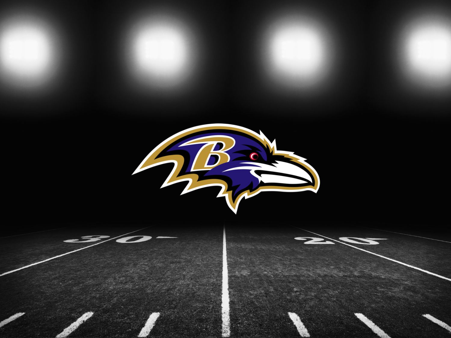 Baltimore Ravens Tickets and Seats