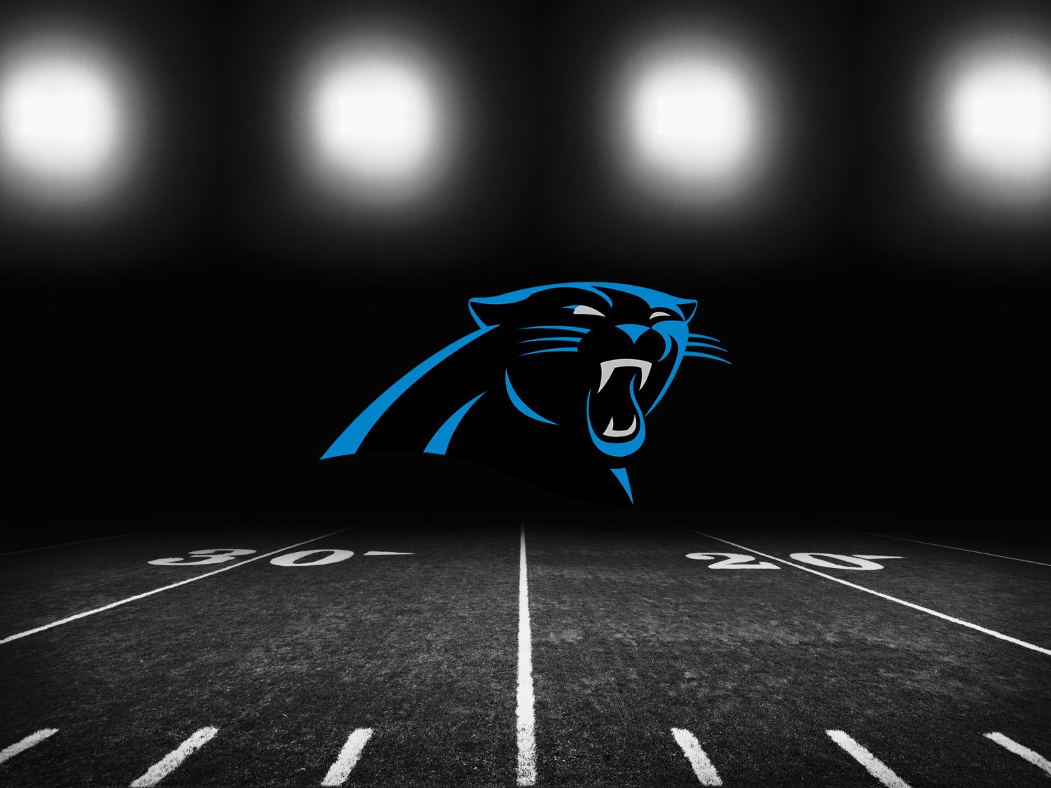 Carolina Panthers Tickets and Seats