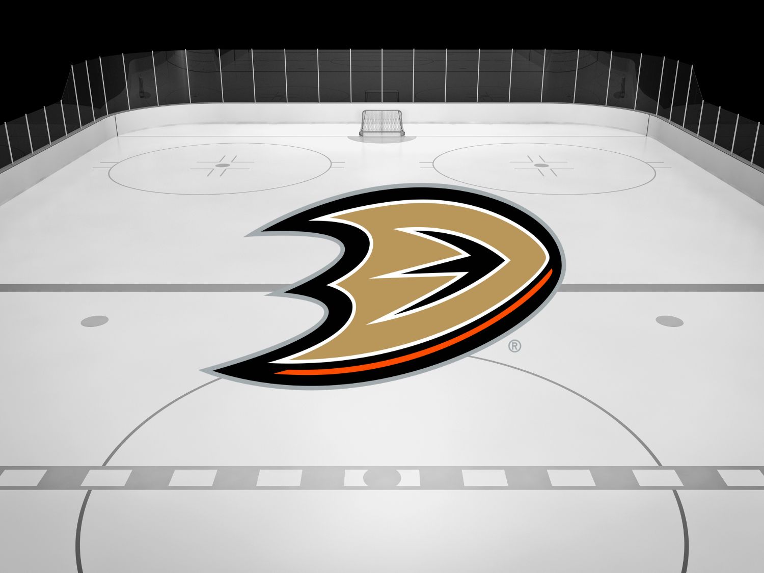 Anaheim Ducks Tickets and Seats