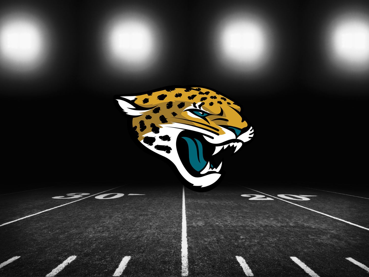 Jacksonville Jaguars Tickets and Seats