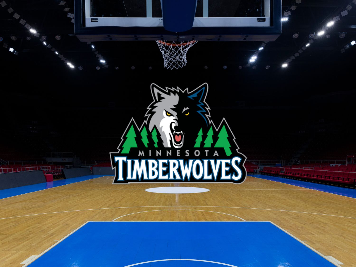 Minnesota Timberwolves Tickets and Seats