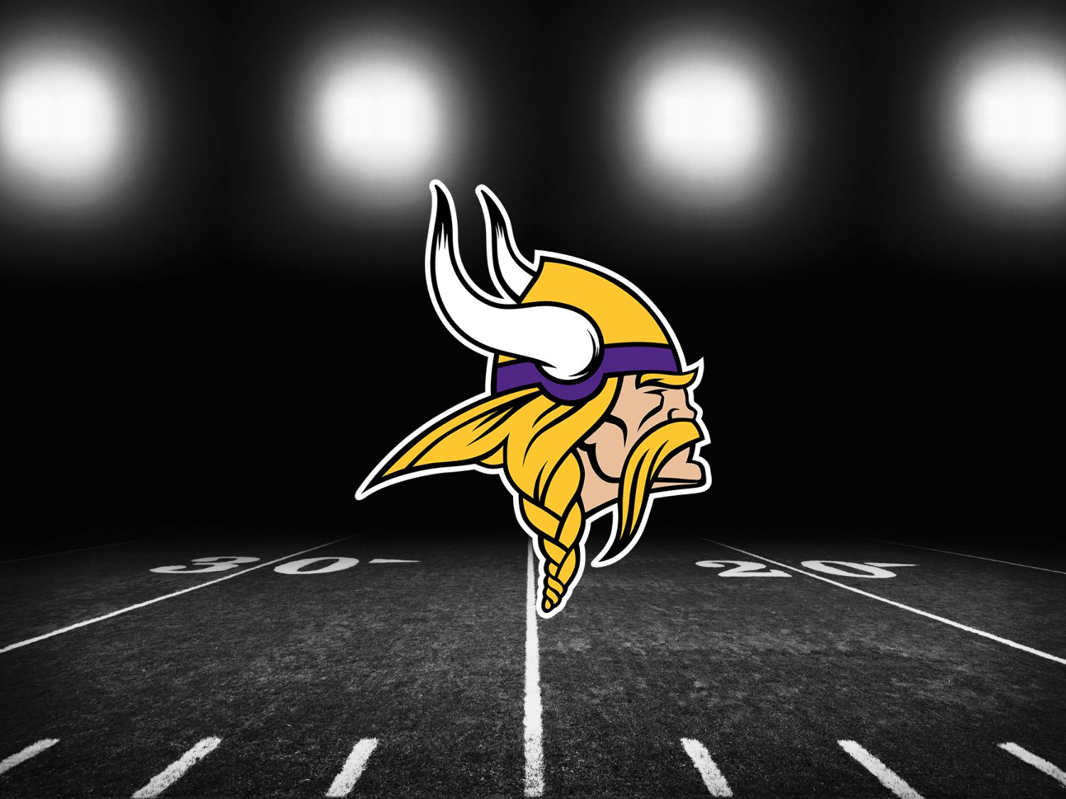 Minnesota Vikings Tickets and Seats