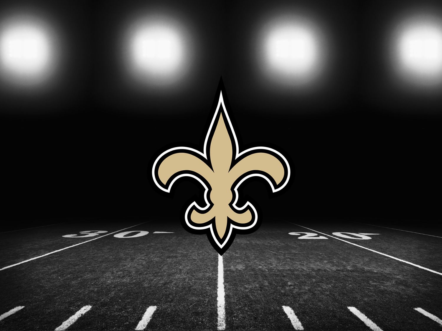 New Orleans Saints Tickets and Seats