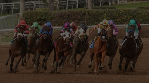 HORSE RACING Tickets